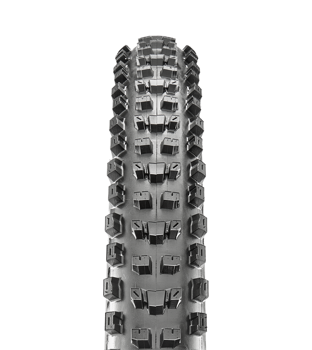 Maxxis Dissector 29