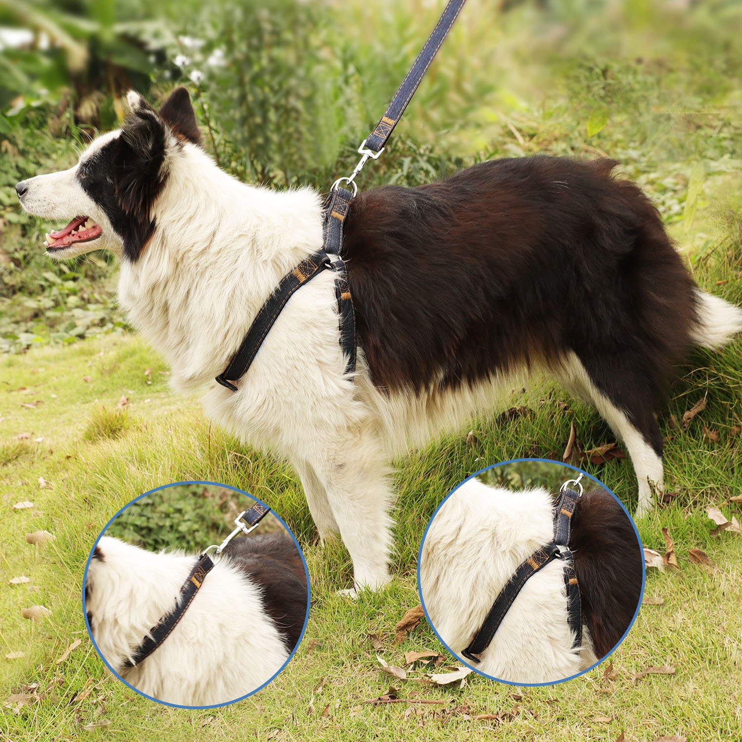 Premium Dog Harness, Leash & Collar Set - Heavy Duty Nylon with Denim Design for Small, Medium & Large Dogs - Perfect for Walking, Training & Outdoor Adventures (M, Black)