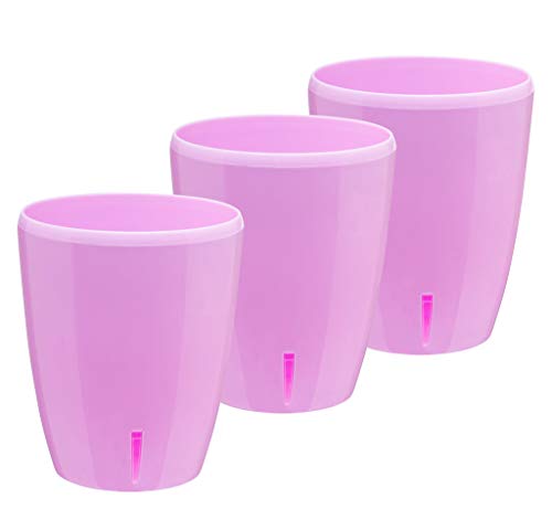 Lavender - Set of 3