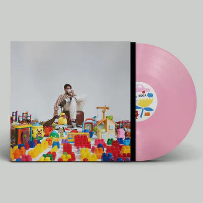 Barry Can't Swim - When Will We Land? Flamingo Pink Vinyl LP | Limited Edition Record for Jazz & Electronic Music Lovers | Perfect for Vinyl Collectors, Home Listening & DJ Sets