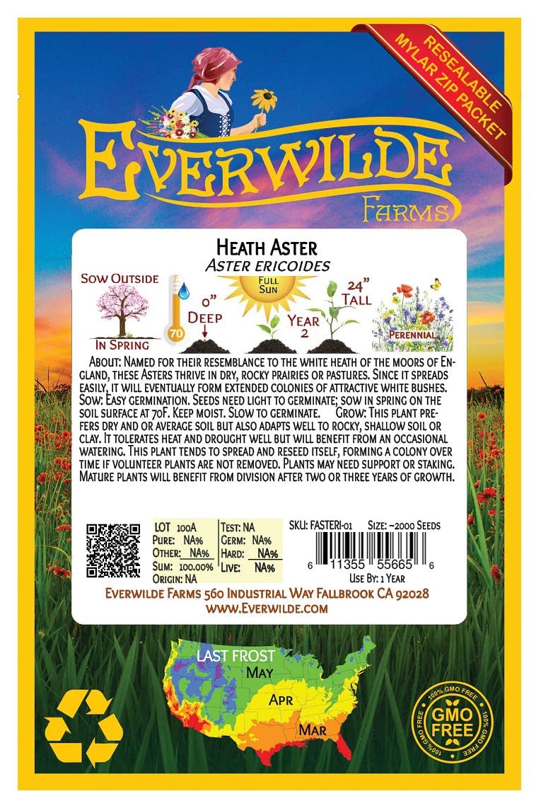 Everwilde Farms - 2000 Heath Aster Native Wildflower Seeds - Gold Vault Jumbo Seed Packet for Pollinator Gardens & Landscaping