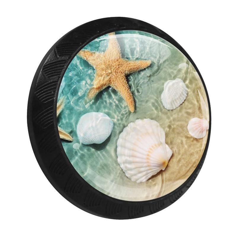 Starfish Beach Shells