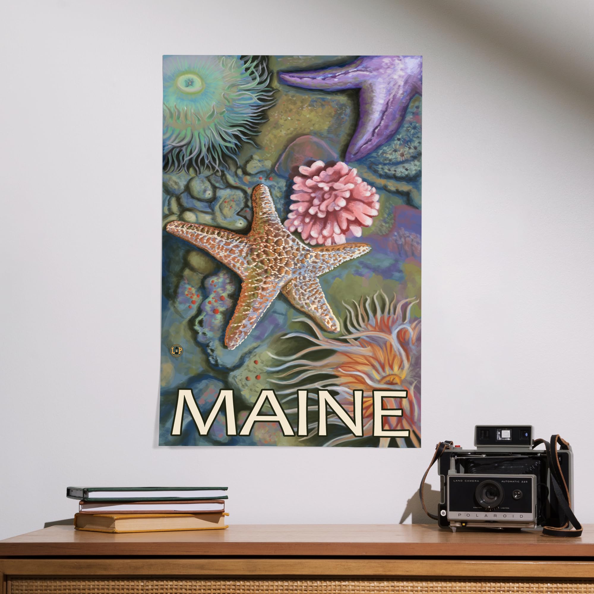 Lantern Press 16x24 Inch Giclee Art Print - Coastal Maine Tidepool Wall Decor - Premium Canvas Wall Art for Living Room, Bedroom & Office
