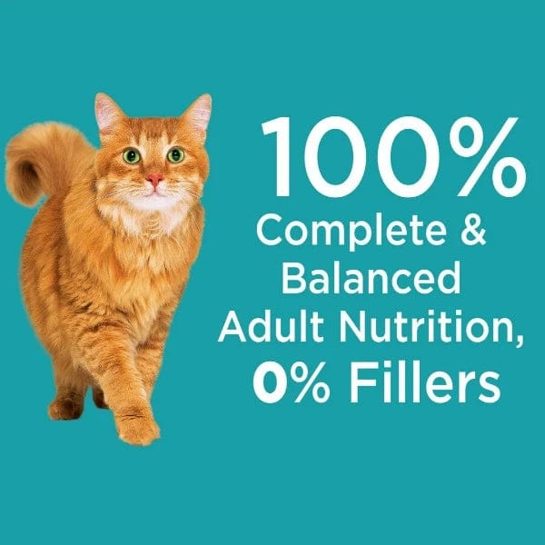 IAMS Proactive Health Indoor Weight & Hairball Care Dry Cat Food - Premium Nutrition for Indoor Cats - Perfect for Weight Management & Hairball Control at Home
