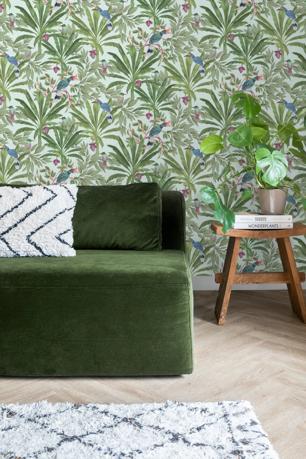 Paradise Jungle Grove - Exotic Tropical Plants for Home & Garden Decor | Perfect for Indoor Greenery, Outdoor Landscaping & Zen Spaces