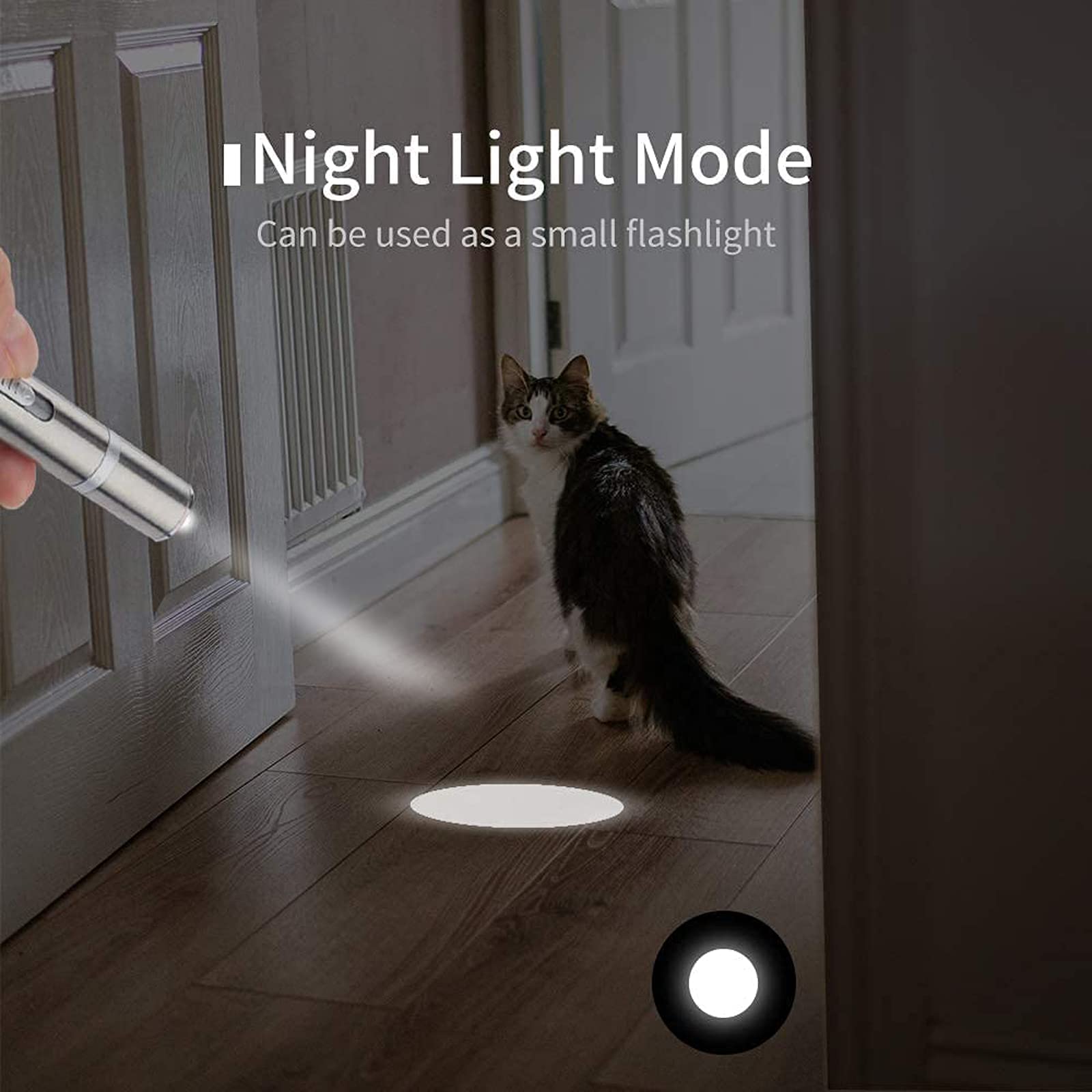 Best Cat Laser Pointer Toy for Indoor Cats - Interactive Kitten Teaser with Red Light for Play & Training - Perfect for Exercise, Bonding & Mental Stimulation (Silver) - Great for Small Spaces & Nighttime Play