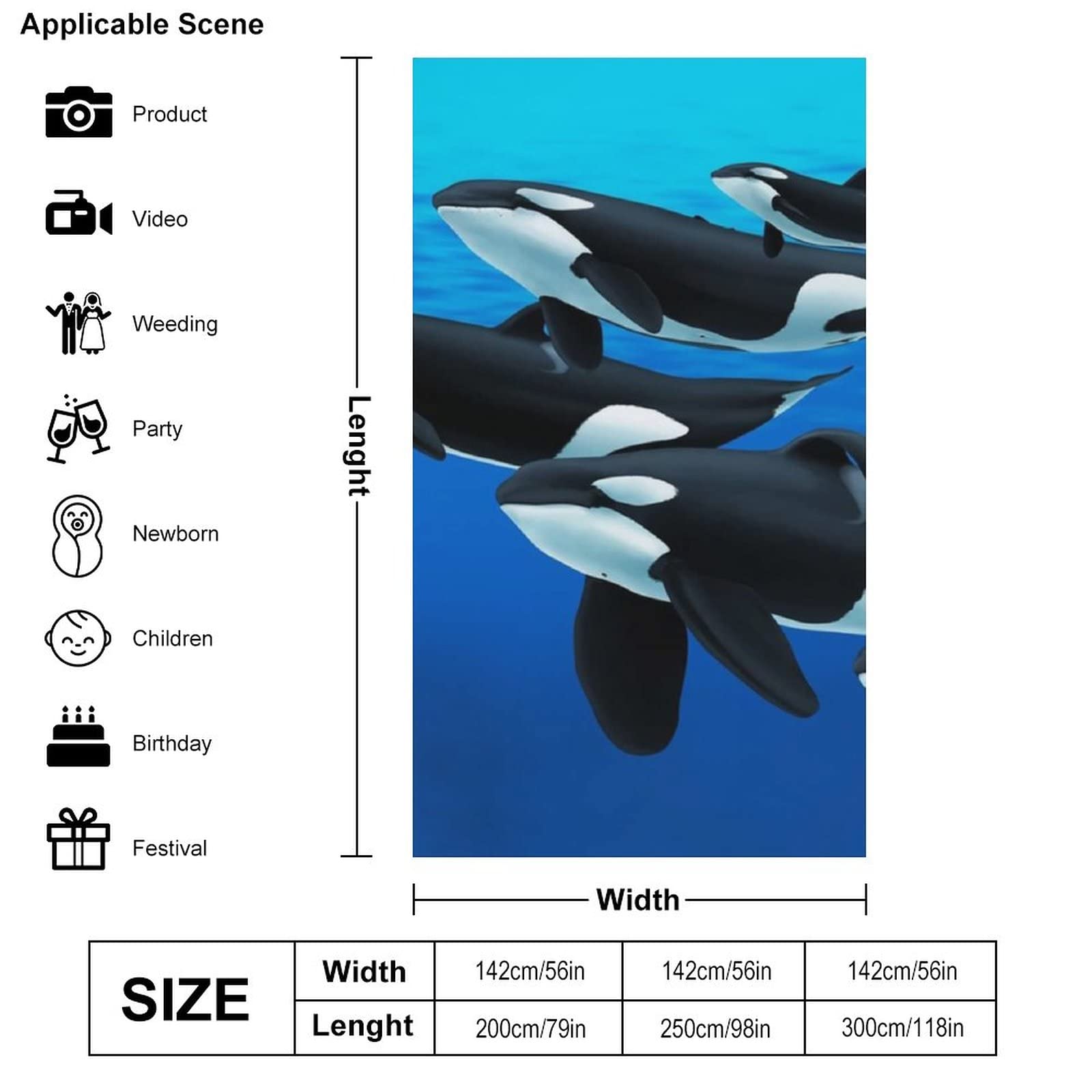 Orca Killer Whale Backdrop 56x79