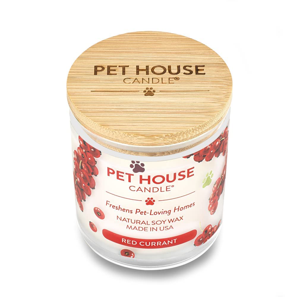 One Fur All Pet House Candle 2 Pack - Soy Wax, Plant-Based, Clean Burning Scented Candles for Home - Long Lasting Pet Odor Eliminator - Red Currant Fragrance | Perfect for Living Rooms, Bedrooms & Pet-Friendly Spaces