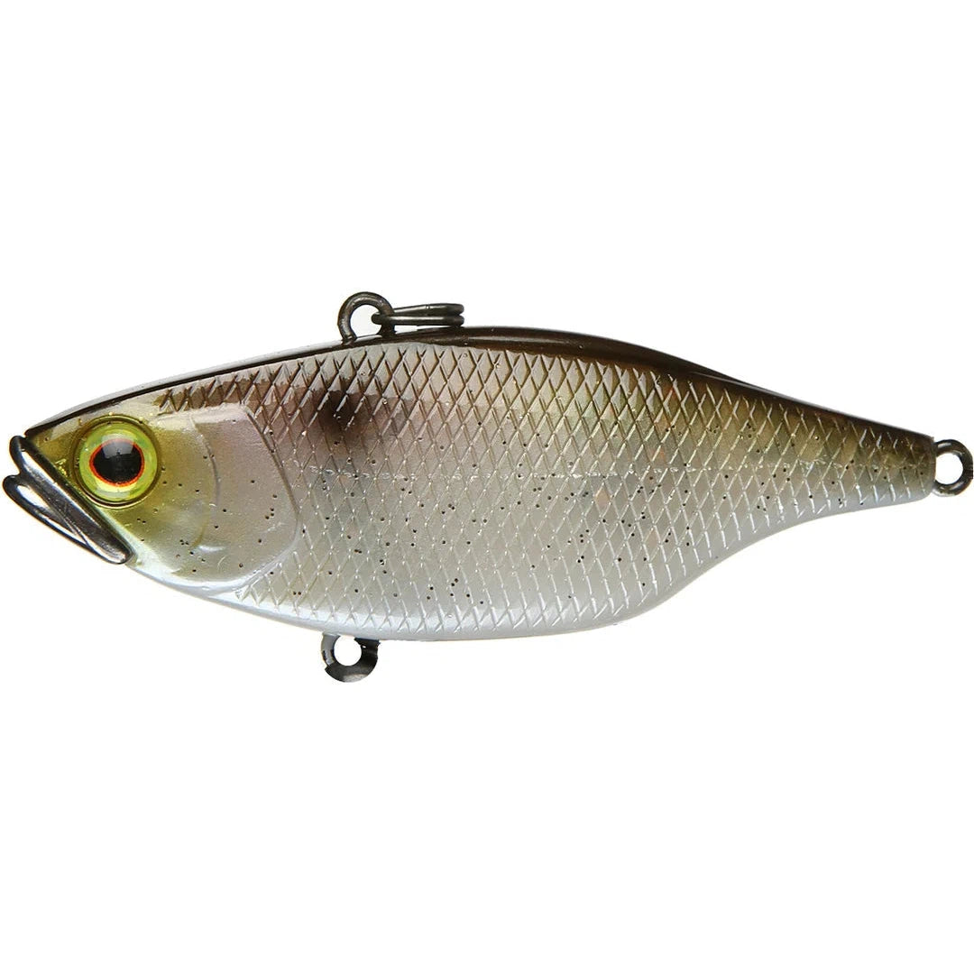 Jackall TN 70 Lipless Crankbait Fishing Lure - Bass Fishing Bait for Freshwater & Saltwater - Perfect for Casting, Trolling, and Vertical Jigging