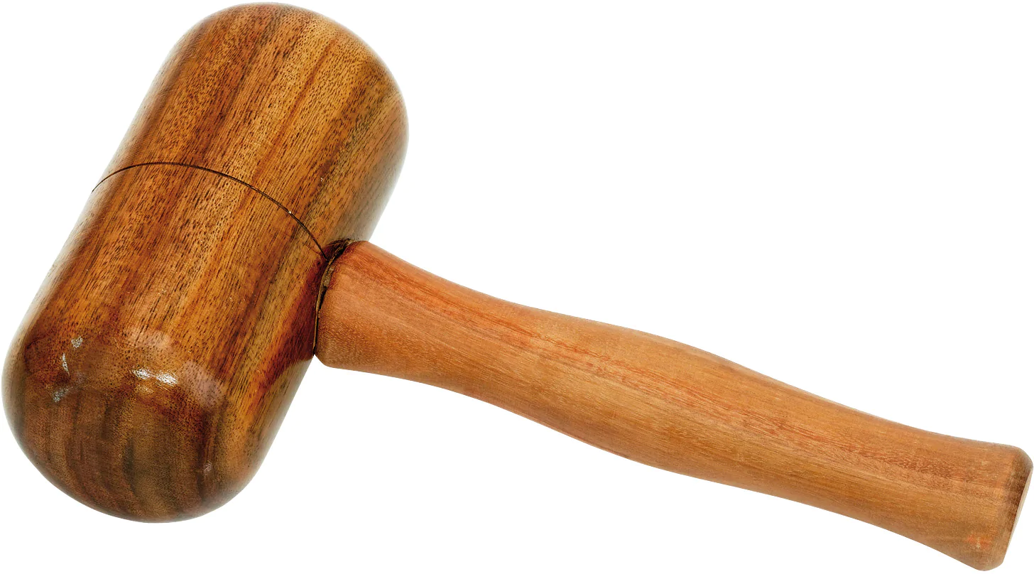 Gray Nicolls Deluxe Cricket Bat Mallet - Premium English Willow Cricket Bat for Professional Players - Perfect for Practice, Training & Competitive Matches
