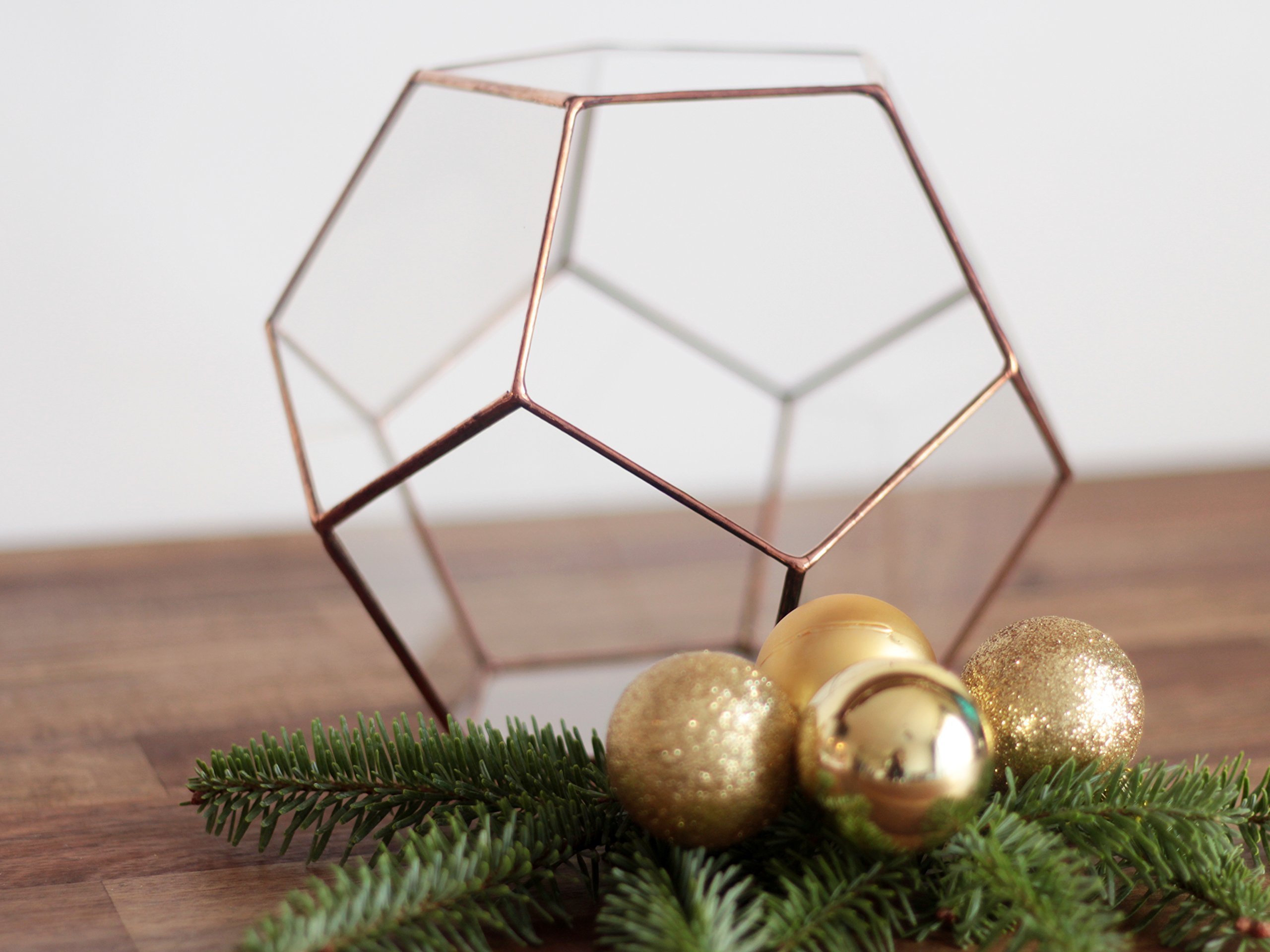Glass Geometric Terrarium Planter - Dodecahedron Shape in Copper, Silver & Black | Indoor Plant Display for Home Decor, Office Desk & Gift Ideas