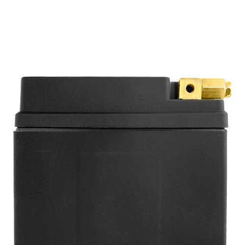 YTX30L-BS LiFePO4 Motorcycle Battery for Harley-Davidson FL/FLH Touring 1450CC (1999+) - High Performance Replacement Battery for Long Rides & Extreme Weather Conditions