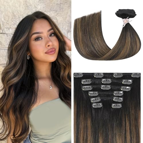 Dark Brown to Chestnut Brown