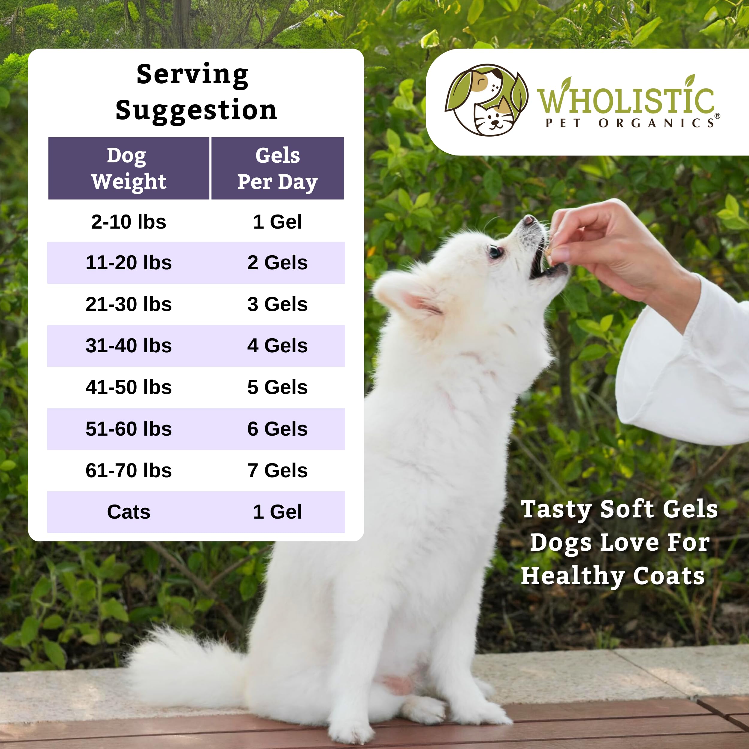 Wholistic Pet Organics Krill Oil Soft Gel Capsules for Dogs - 200 Count - Omega-3 & Astaxanthin Supplement for Joint Health, Shiny Coat & Heart Wellness - Perfect for Senior Dogs & Active Breeds