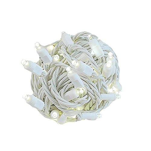 Warm White (White Wire)