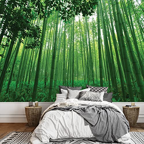 Pure Green Bamboo Forest