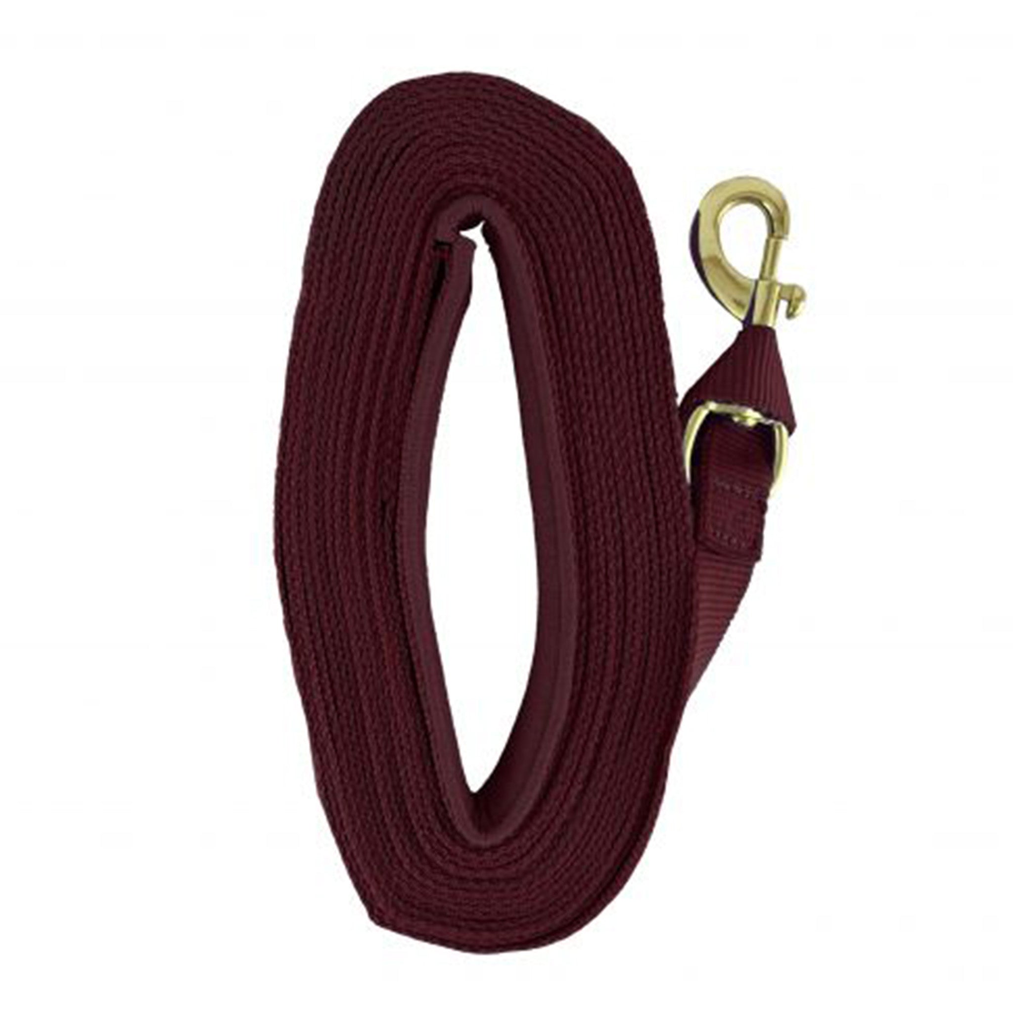 25' Web Lunge Line for Dog Training - Durable Agility Equipment with Adjustable Length - Perfect for Obedience Practice, Backyard Exercises & Canine Sports
