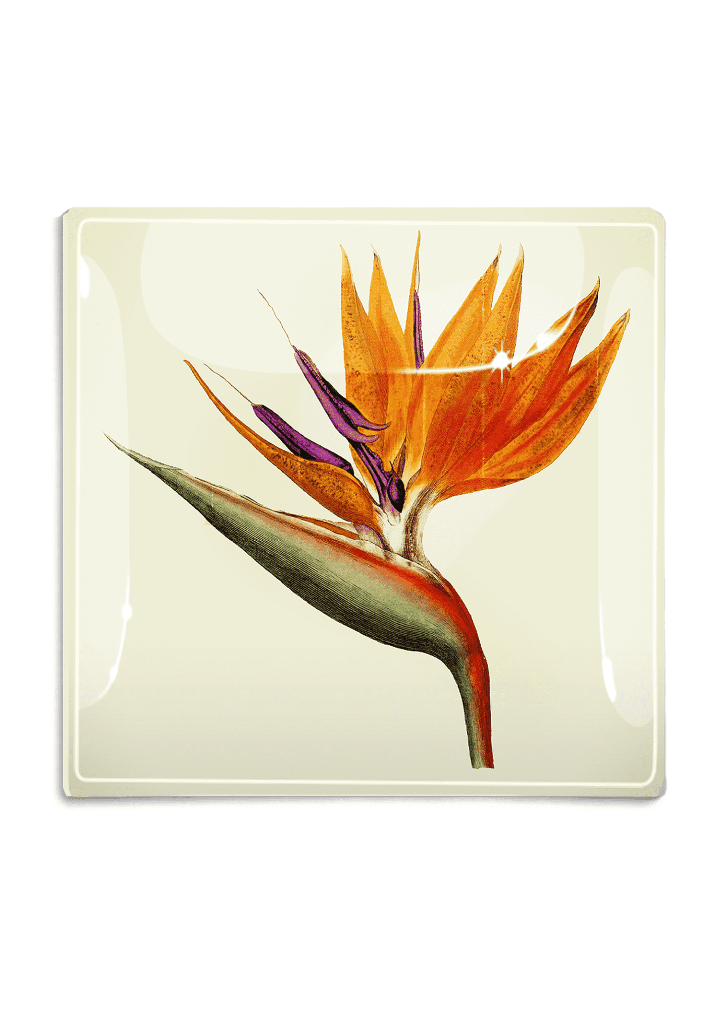 Exquisite Bird of Paradise Decoupage Glass Serving Tray - Elegant Handmade Floral Design for Home Decor, Dining Table Centerpiece & Gift Giving