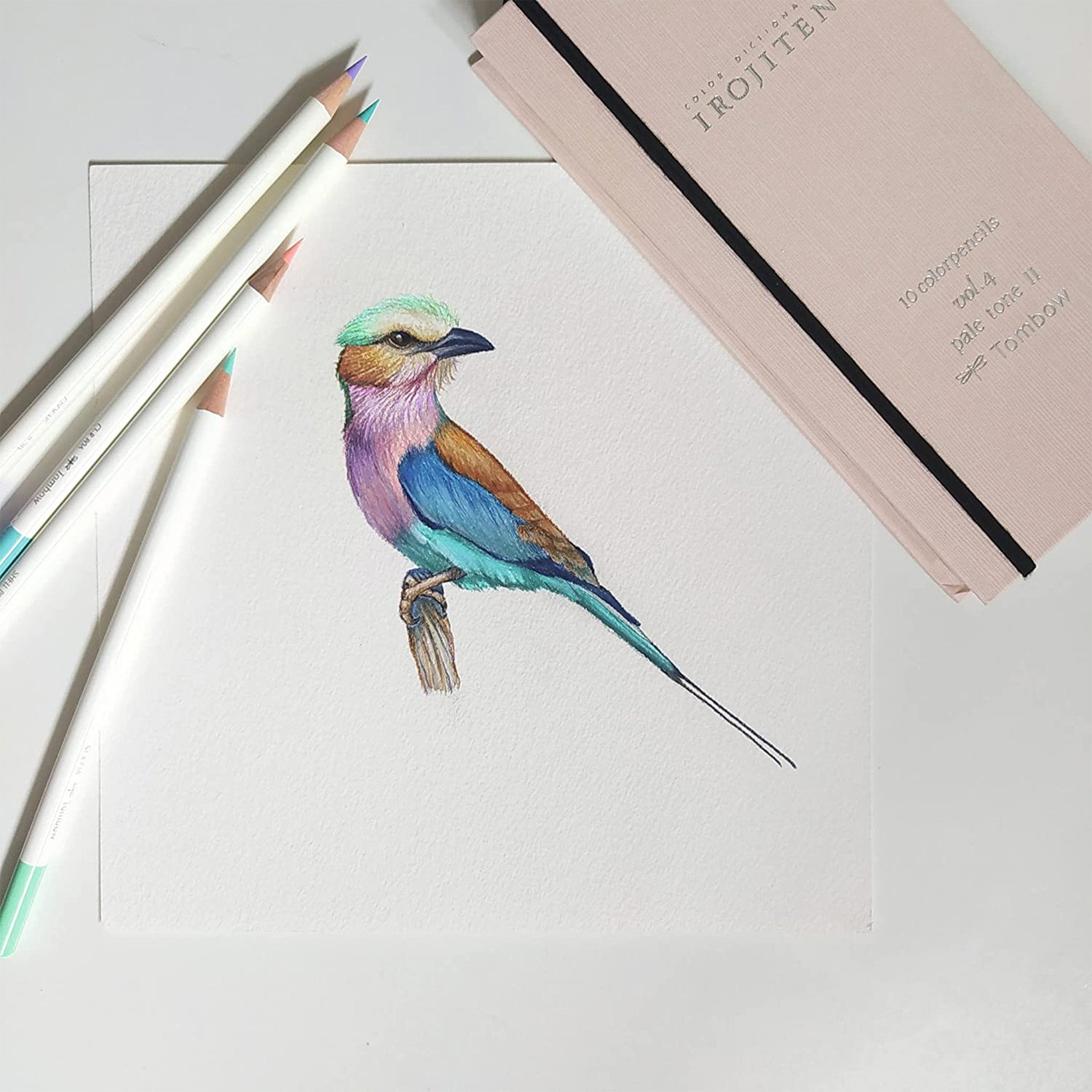 30 Irojiten Colored Pencil Set - Tombow Premium Art Pencils Collection Vol.1, 2, 3 for Professional Artists, Sketching & Adult Coloring Books | Perfect for Drawing, Illustration & Relaxation Therapy