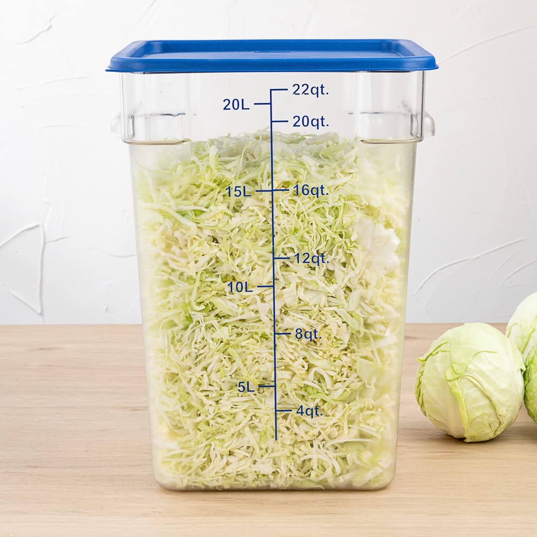 Restaurantware - 10 Pack Square Plastic Food Storage Container Lids Only | Marinating & Meal Prep Lids with Date Indicator | Dishwasher & Freezer Safe | Blue Plastic Lids (Containers Sold Separately) | Perfect for Meal Prep, Leftovers & Food Storage Organization