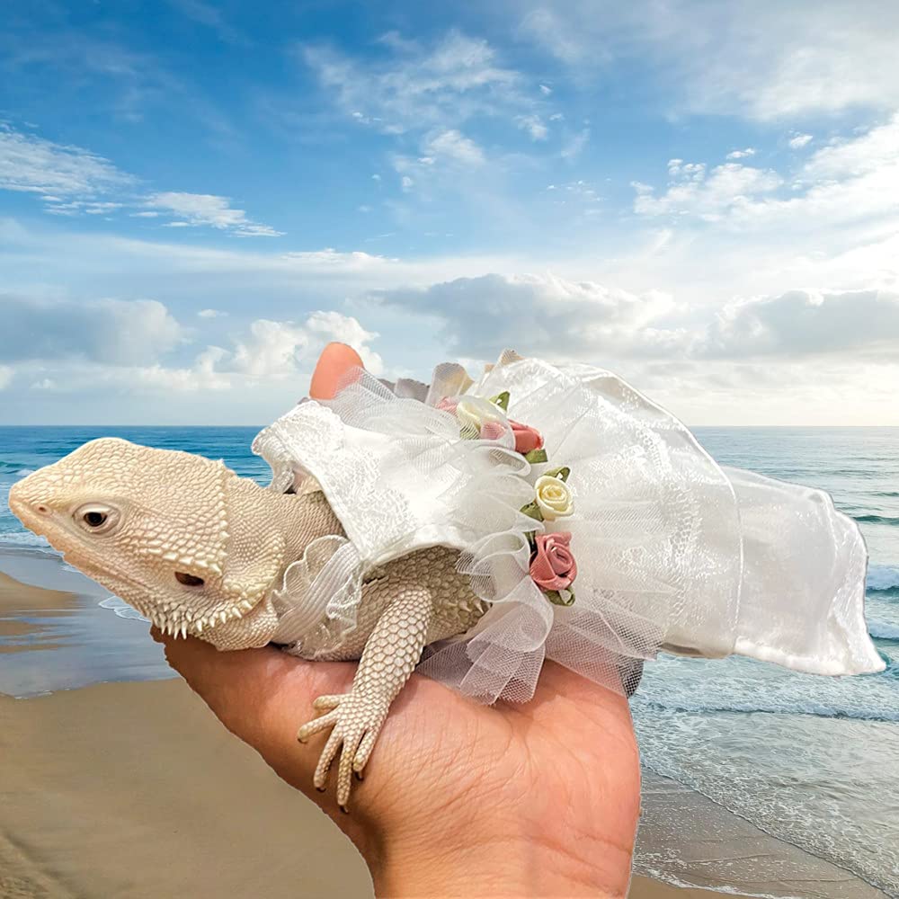 HAICHEN TEC Bearded Dragon Wedding Dress - Lace Reptile Costume for Lizards, Chameleons & Crested Geckos | Formal Apparel for Pet Reptiles (Size L) - Perfect for Special Occasions & Photo Shoots