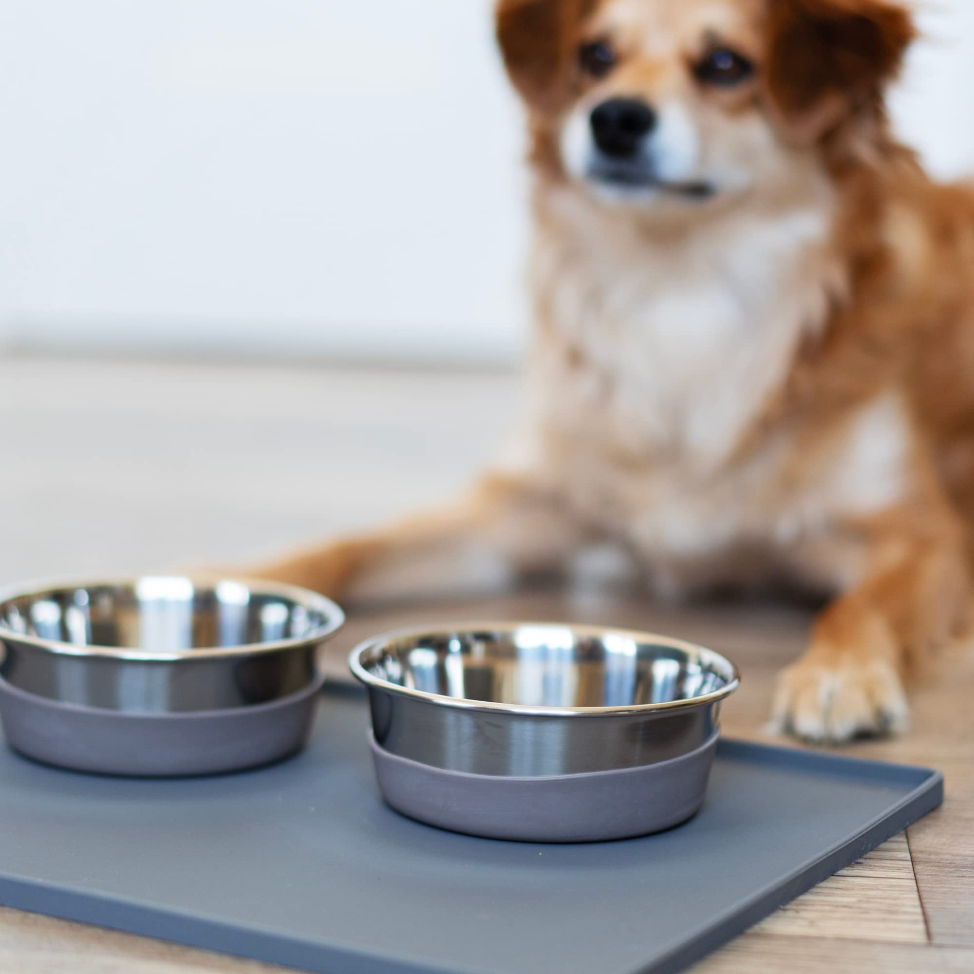 **Non-Slip Silicone Dog Bowl Mat with Raised Edge & Metal Rod Reinforcement | Spill-Proof Pet Feeding Mat for Dogs & Cats | Large 24” x 16” Dark Grey | Perfect for Messy Eaters & Easy Cleanup**