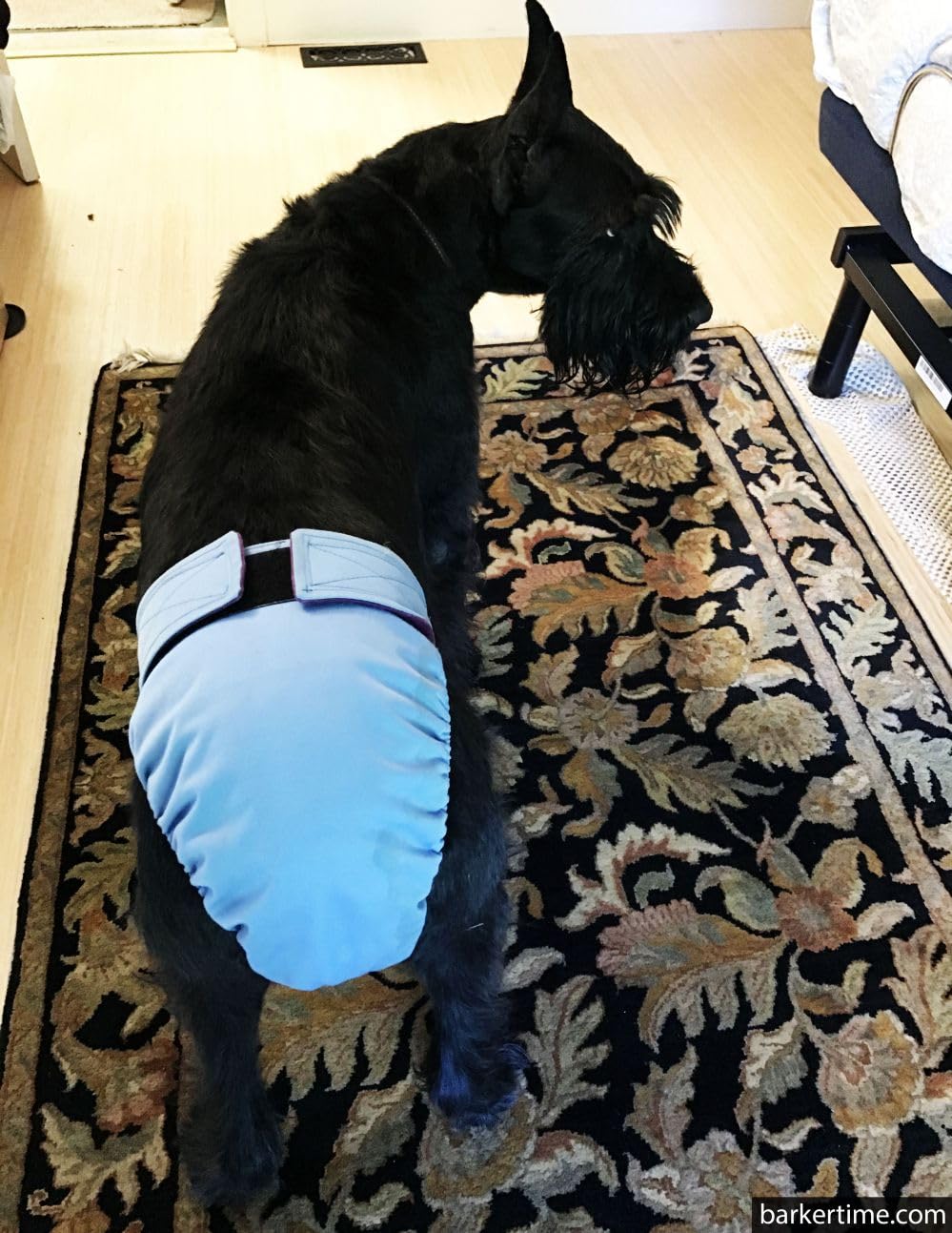 Premium Baby Blue Dog Diaper XL with Tail Hole | USA Made | Absorbent & Washable Pet Diapers for Incontinence, House Training & Travel Use