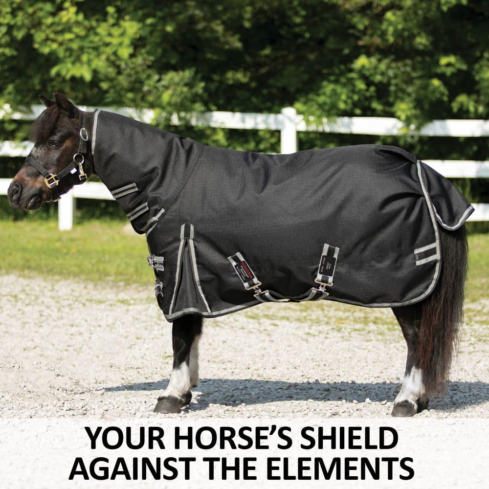 Blizzard II Surcingle Mini Turnout Horse Blanket - Waterproof & Breathable Winter Horse Blanket with Euro Fit Attached Neck | Ideal for Cold Weather Riding, Stable Use & Outdoor Horse Protection