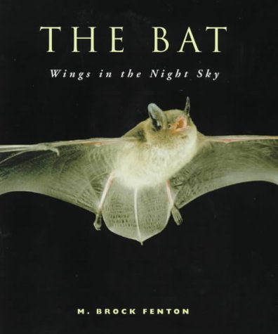 Bat Wings in the Night Sky - Realistic Bat Costume Wings for Halloween & Cosplay - Perfect for Spooky Parties, Gothic Events & Theatrical Performances