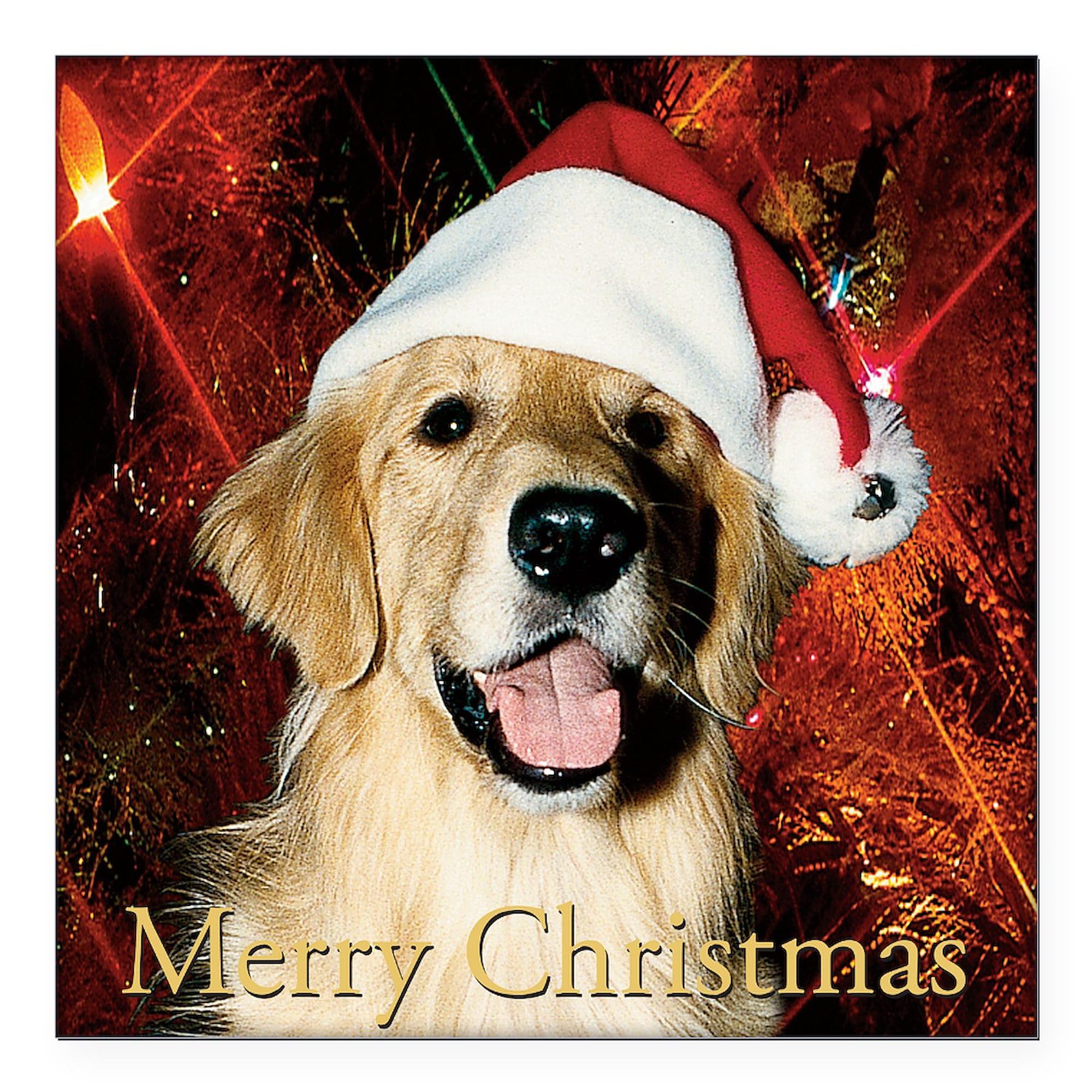 Golden Retriever Christmas Car Magnet 3x3 Inch - Funny Holiday Bumper Sticker for Dog Lovers - Perfect for Cars, Trucks & Metal Surfaces - Festive Pet Gift Idea