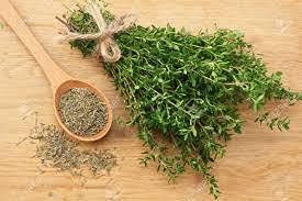 Organic Thyme Herb Seeds - Non-GMO, 200 Count Packet | Premium Culinary Herb for Cooking, Seasoning & Kitchen Gardens | Perfect for Soups, Roasts, Teas & Mediterranean Dishes