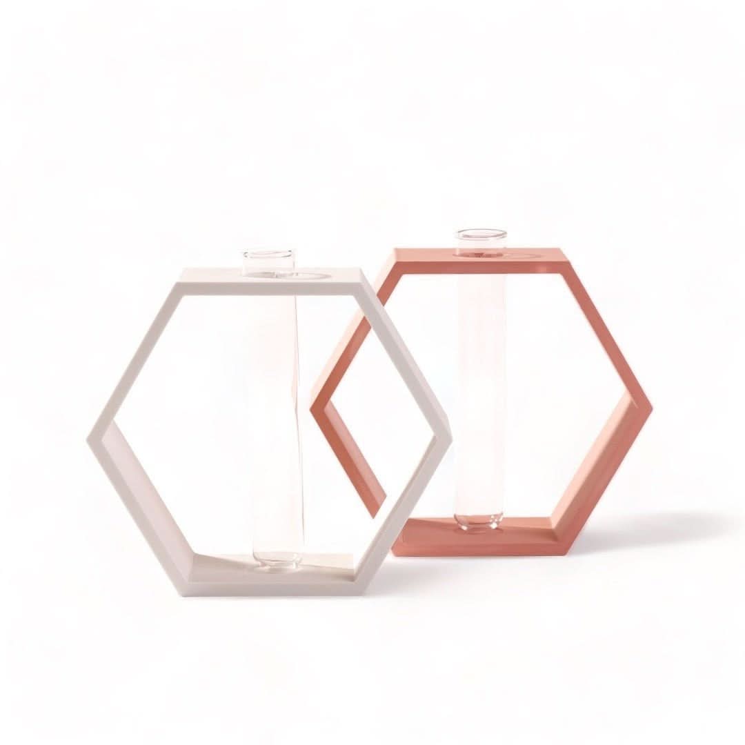 3D Printed Hexagon Plant Propagation Stand for Succulents & Herbs - Indoor Gardening Decor & DIY Home Planting Accessory
