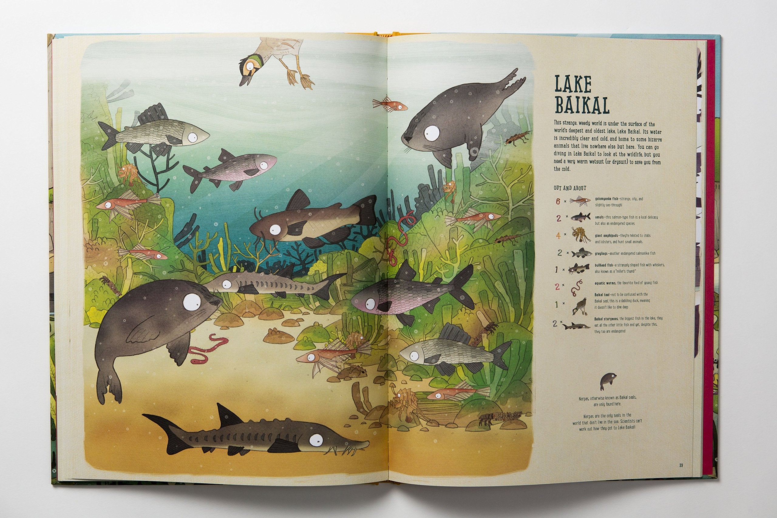 Amazing Animal Adventure: Around the World Wildlife Spotting Expedition Book - Perfect for Kids' Nature Exploration & Travel Learning