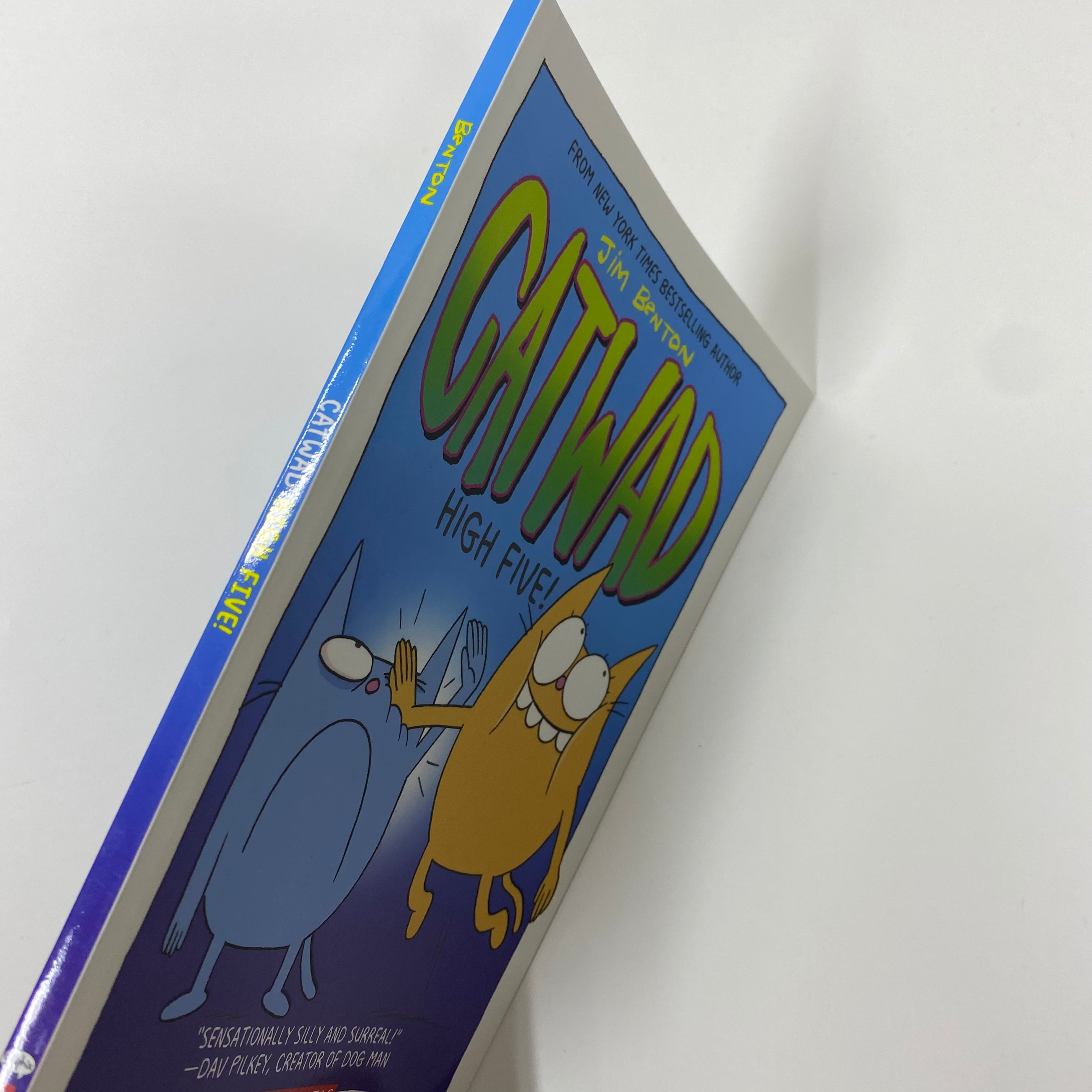 Catwad #05 High Five! - Funny Comic Book for Kids & Teens - Perfect for Gifts, Reading Fun, and Relaxation Time