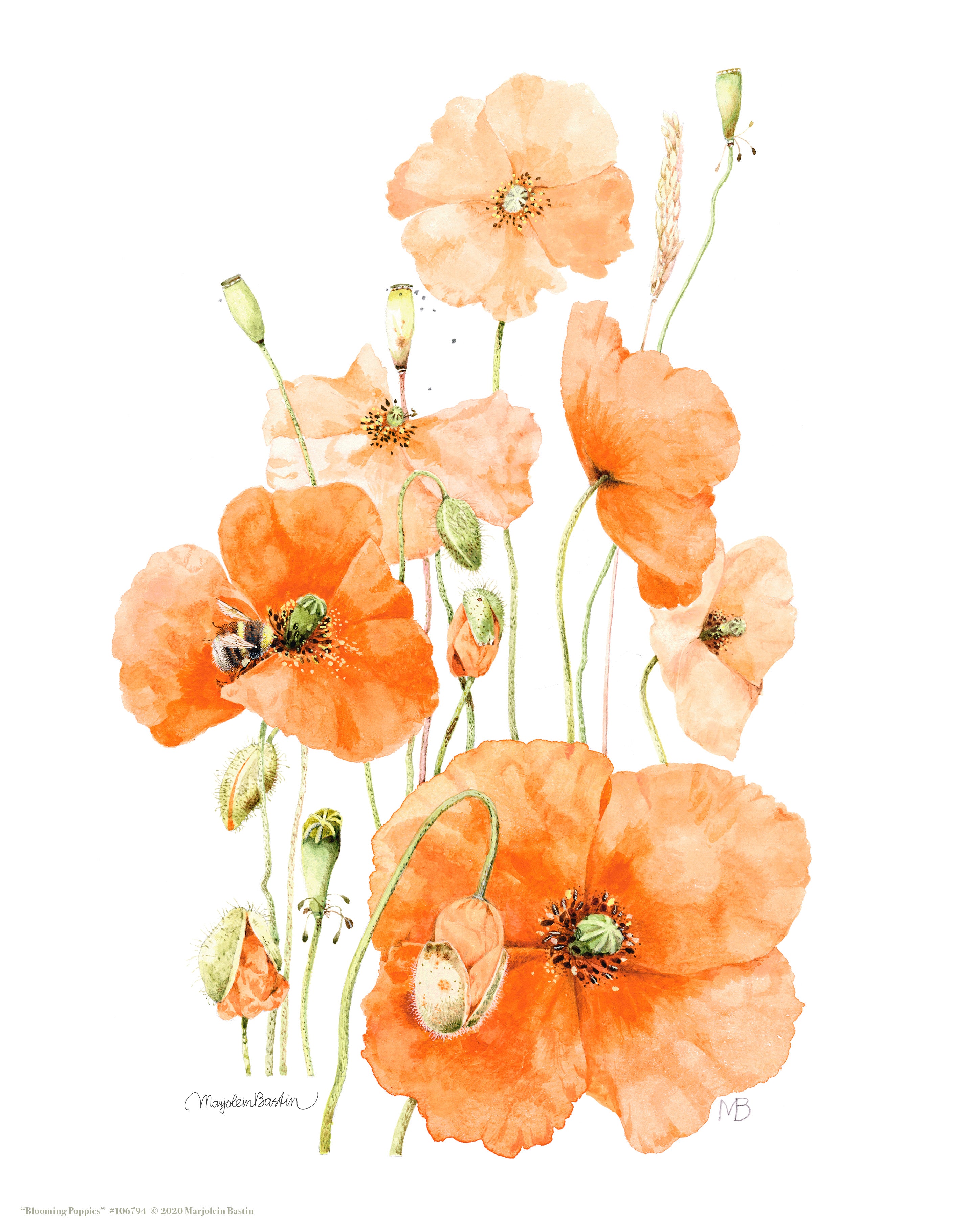 Blooming Poppies Wall Art - Vibrant Floral Canvas Prints for Home & Office Decor - Perfect for Living Room, Bedroom, and Office Spaces