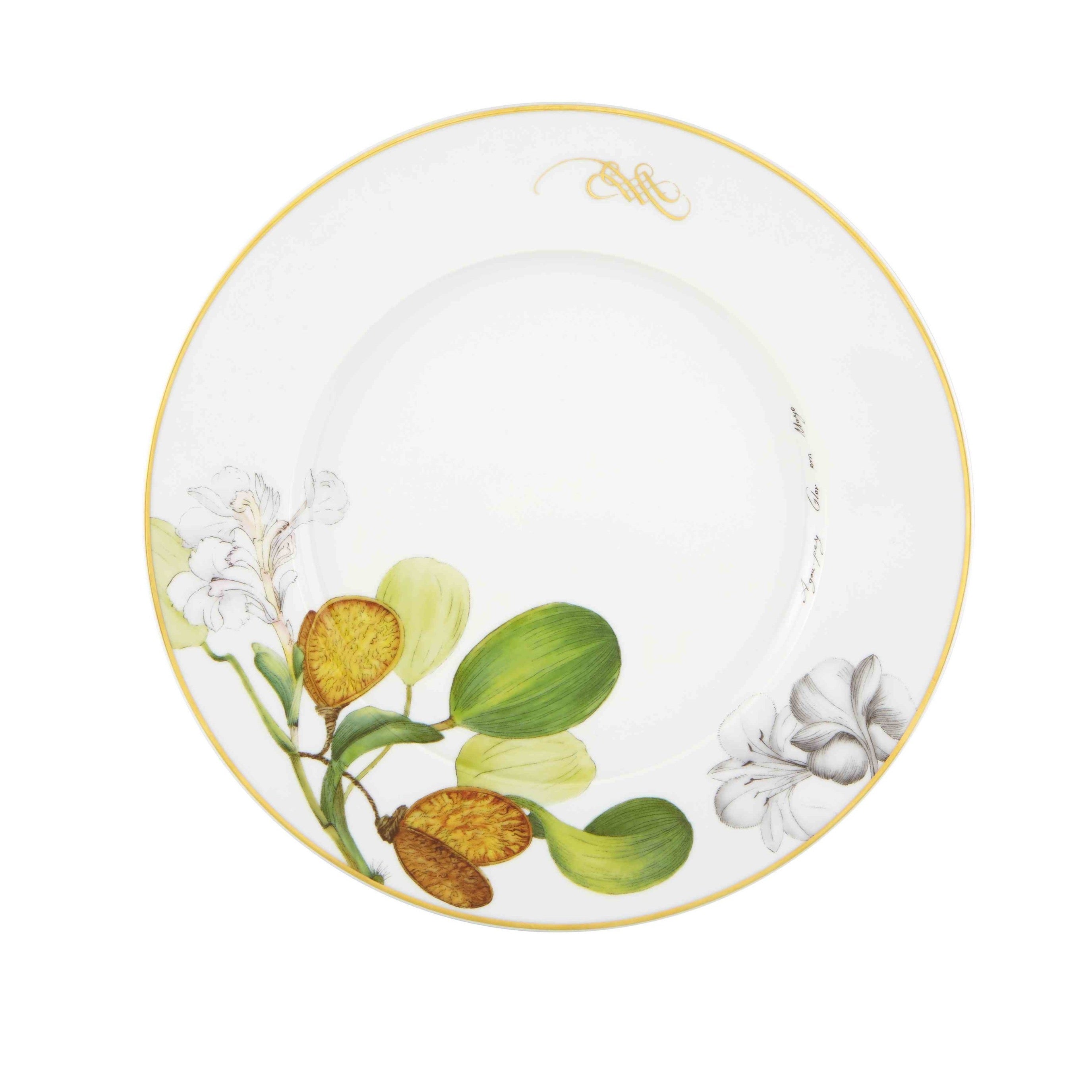 Amazonia 5-Piece Dinnerware Set - Elegant Porcelain Plates, Bowls & Mugs for Everyday Dining, Entertaining & Special Occasions | Dishwasher & Microwave Safe