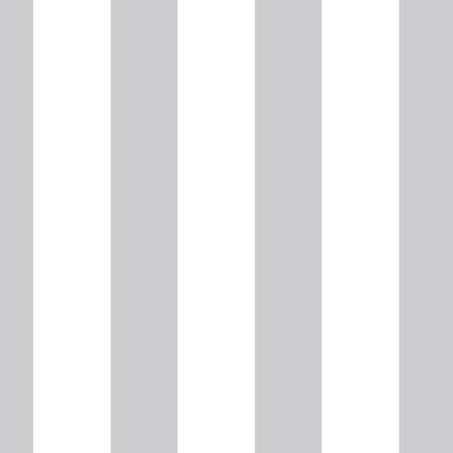 31 Classic- Gray