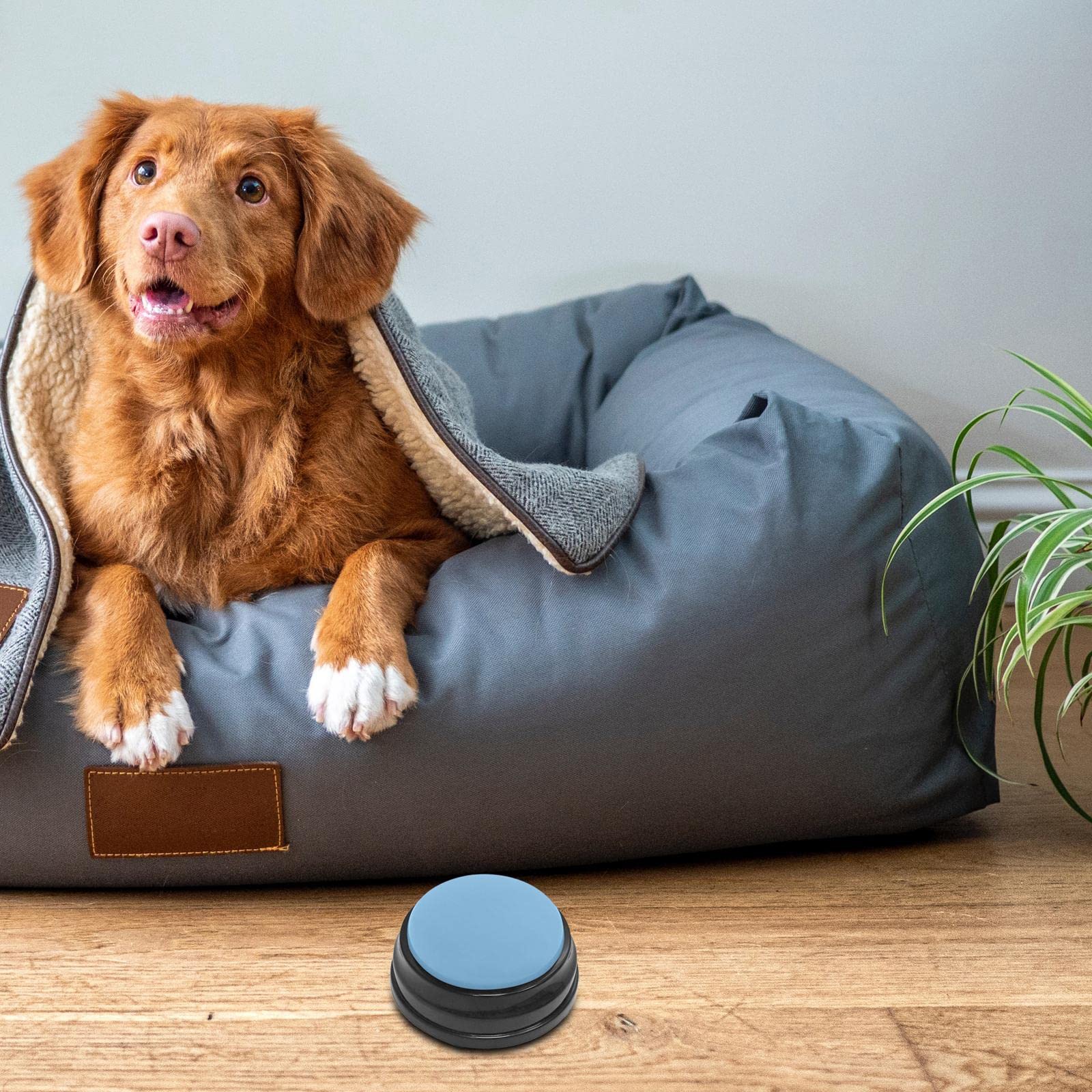 Fityle Dog Training Buttons - Recordable Sound Recorder for Pets & Puppies - Light Blue for Home Training