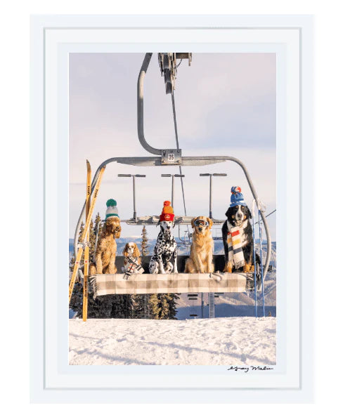 Gray Malin Chairlift Pups Vertical Print - Premium Wall Art for Home & Office Decor - Perfect for Living Rooms, Bedrooms & Gifts
