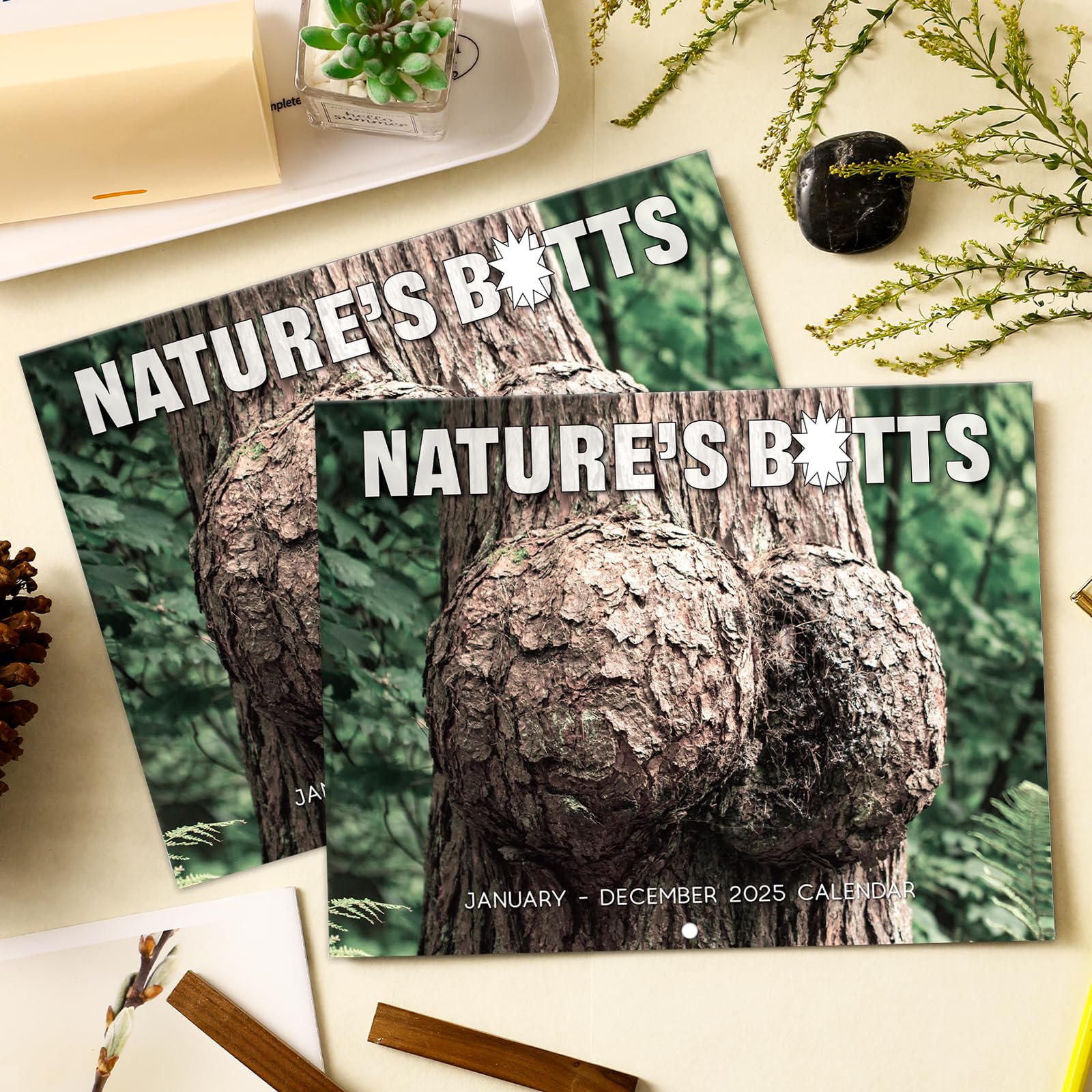 Funny 2025 Wall Calendar - White Elephants Nature's Butts | Thick Paper 8.5