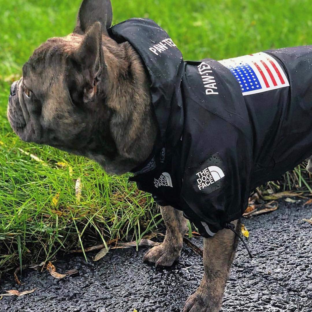 Waterproof & Windproof Dog Raincoat with Hood - Lightweight & Portable Pet Rain Jacket for Small, Medium & Large Dogs (Small, Black) - Perfect for Walking, Hiking & Outdoor Adventures