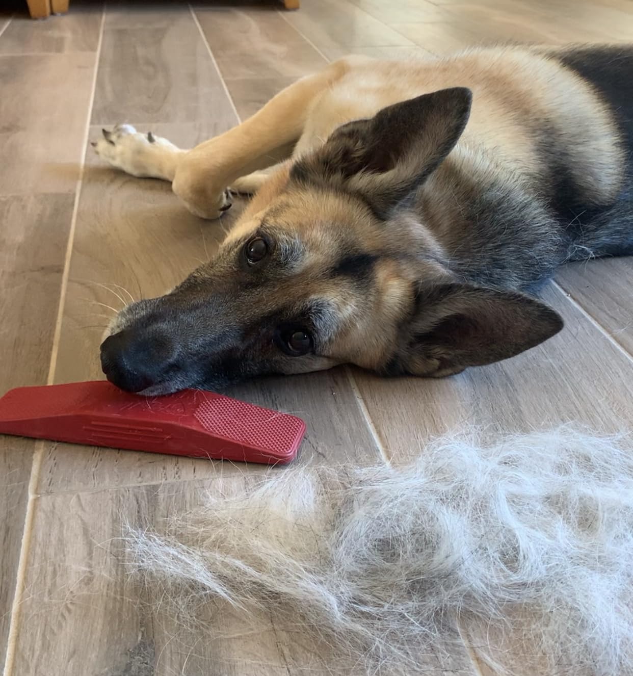 Original 6-in-1 Dog Grooming Brush - Gentle Shedding & Massage Tool for Pets (Red) - Perfect for Daily Coat Care