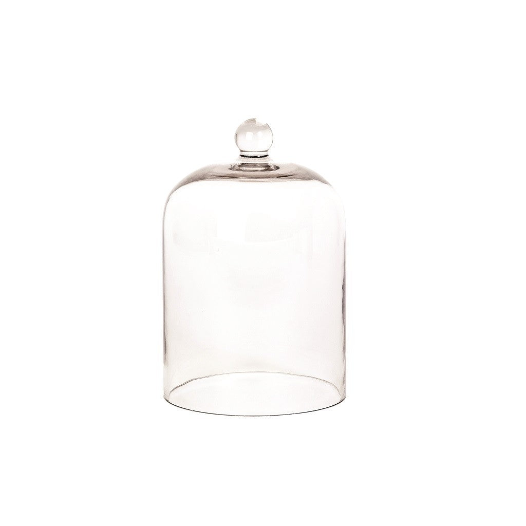 Palm Beach Glass Cloche Dome - Elegant Display Dome for Wedding Centerpieces, Desserts, and Home Decor