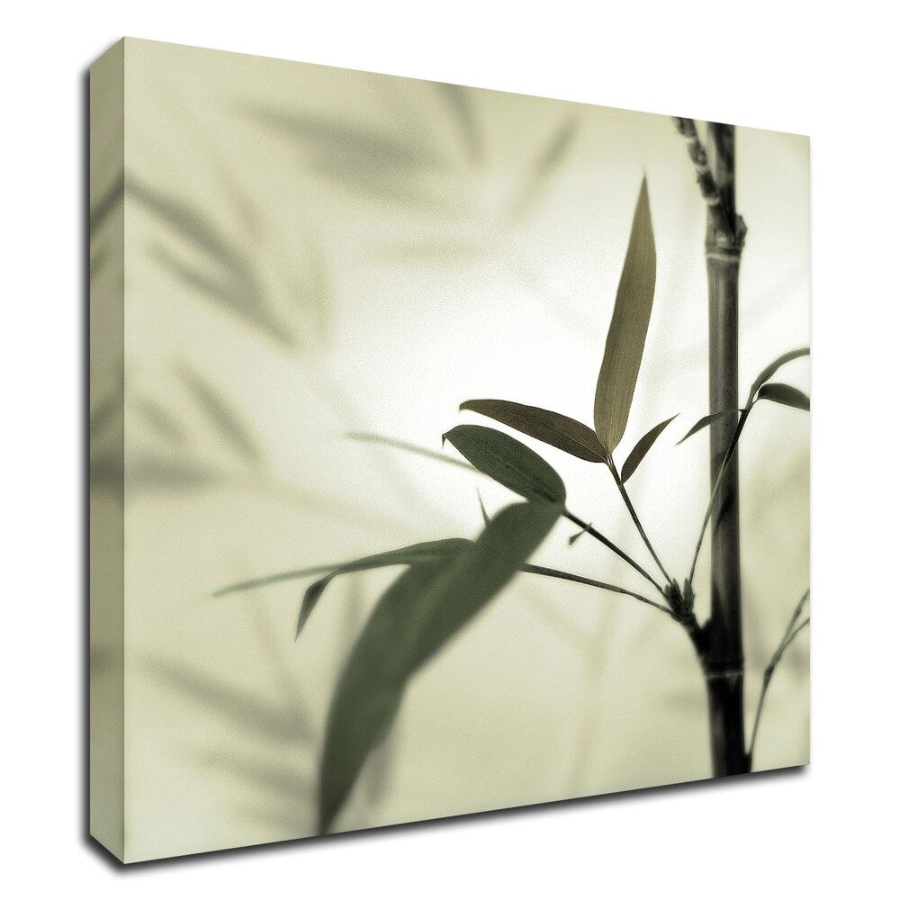 Bamboo 1 by Alan Blaustein - Premium Canvas Wall Art Print - Ready to Hang - Modern Home & Office Decor for Living Room, Bedroom or Office