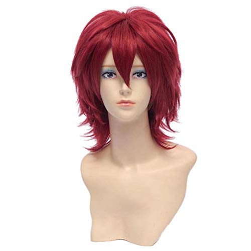 HongHu Short Wavy Cosplay Anime Wig - Heat Resistant Synthetic Fiber Full Wig in Wine Red for Halloween, Cosplay Events, and Themed Parties
