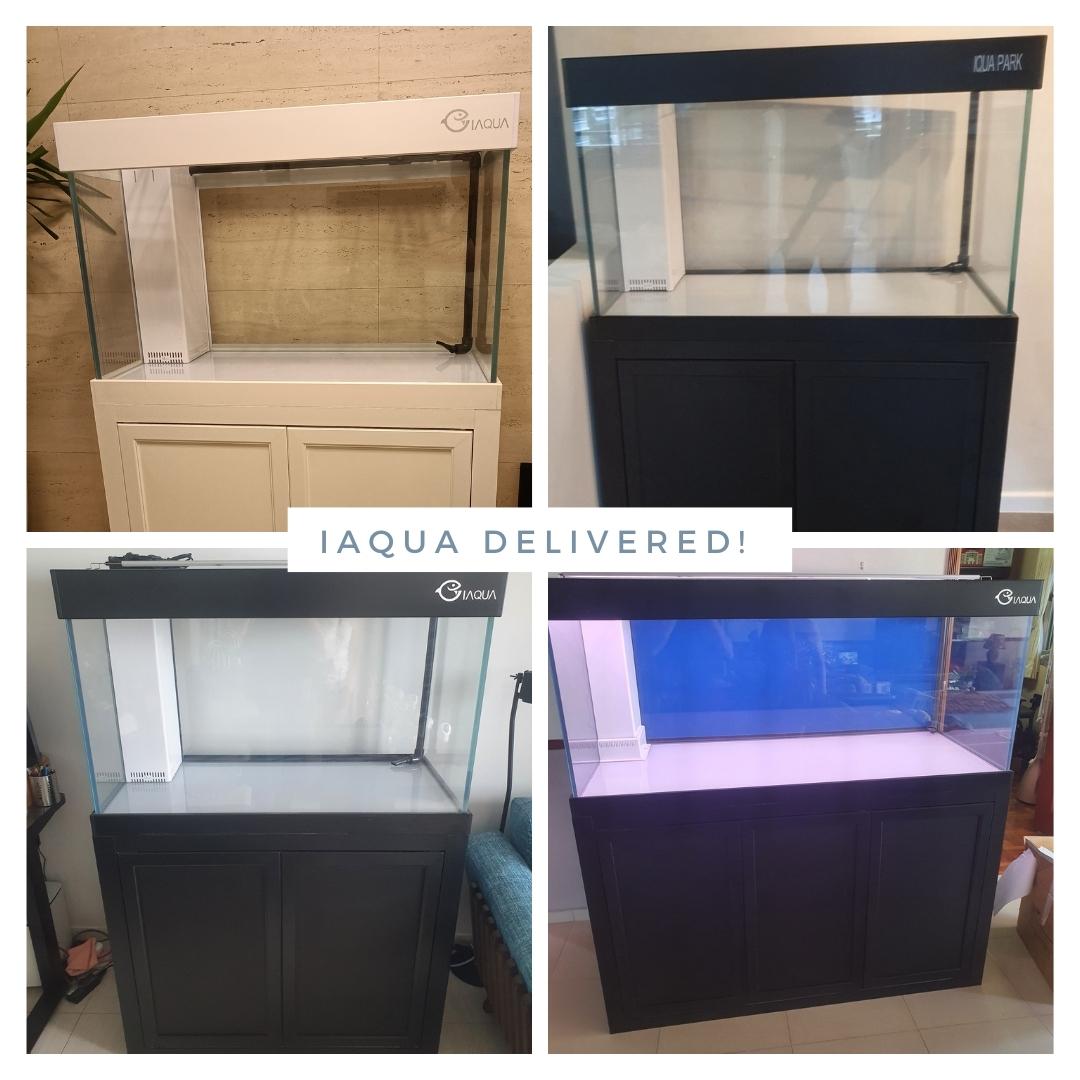 IAQUA 120 Gallon Crystal Clear Glass Aquarium with Sump & Aluminum Cabinet - Premium Saltwater & Reef Tank for Home or Office Decor