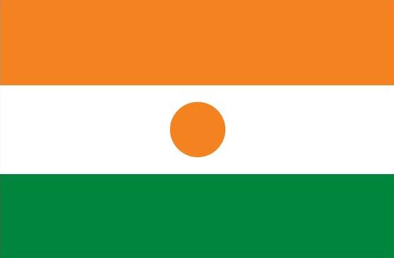 Niger Flag 3x5 Feet - Durable Nylon Printed Flag for Outdoor & Indoor Use - Perfect for Parades, Sporting Events, and Home Decoration