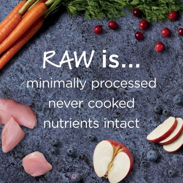 Instinct Raw Boost Indoor Health Real Rabbit Recipe Dry Cat Food - 4.5lb Bag | High Protein Grain-Free Kibble for Adult Cats | Supports Digestion & Healthy Weight | Perfect for Indoor Cats & Sensitive Stomachs