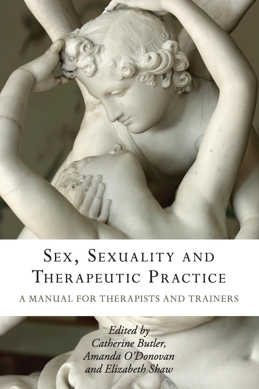 Sex, Sexuality and Therapeutic Practice: A Guide for Therapists & Trainers | Mental Health Counseling, Relationship Therapy & Professional Training Resource