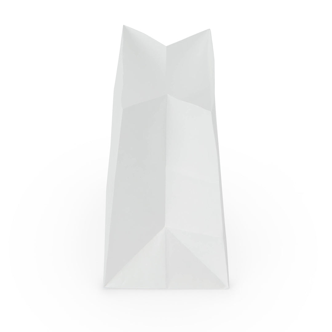 Premium White Paper Snack Bags 4